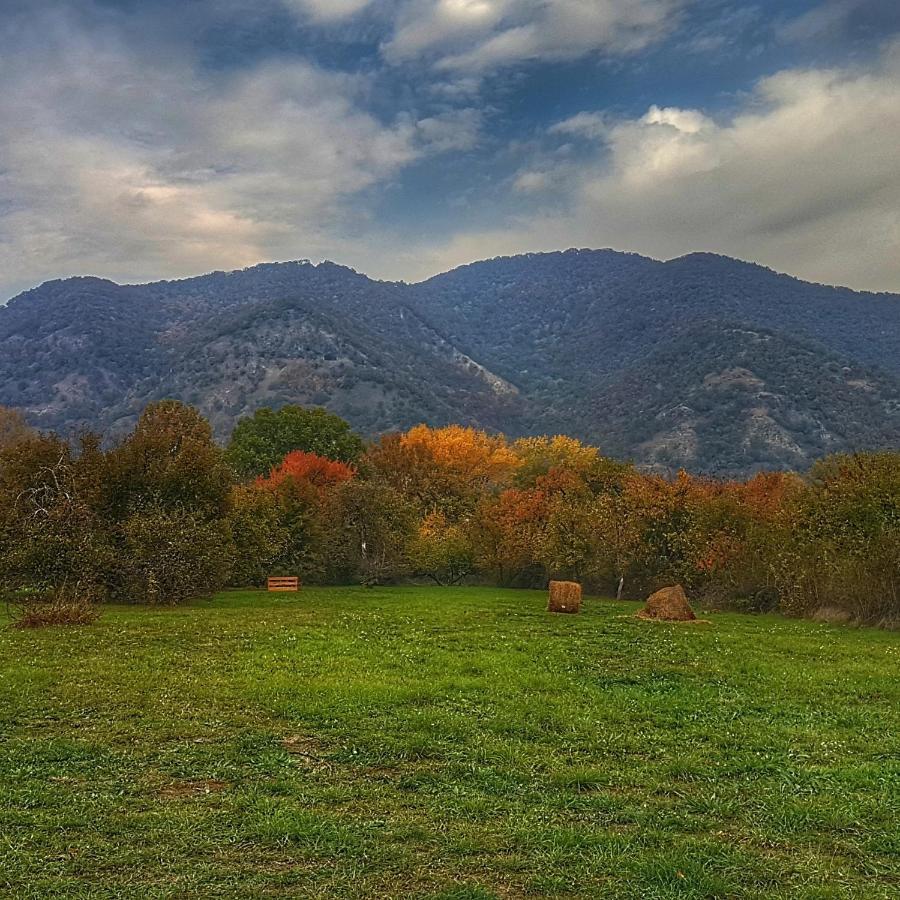 Albatross Villa Dömös Dış mekan fotoğraf