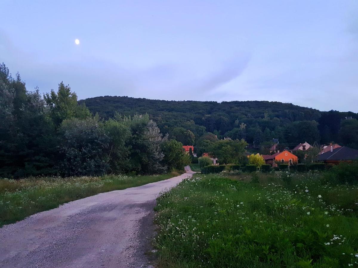 Albatross Villa Dömös Dış mekan fotoğraf