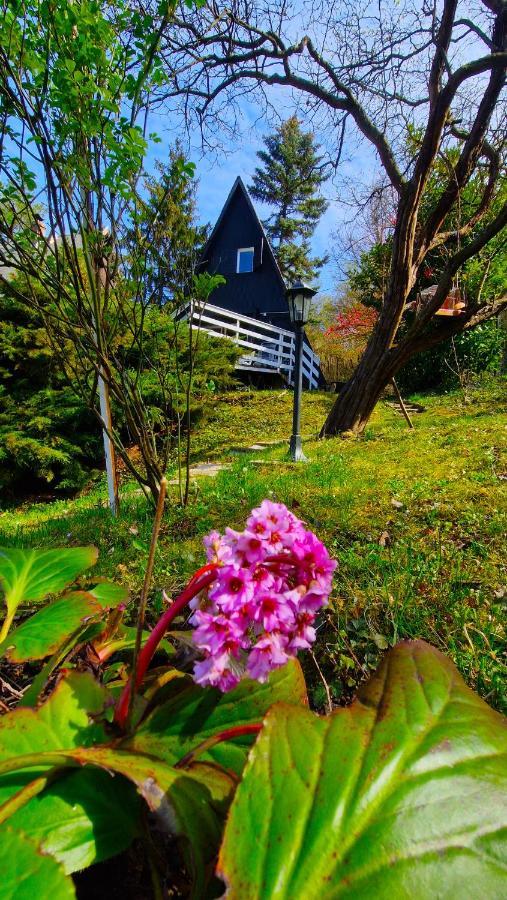 Albatross Villa Dömös Dış mekan fotoğraf