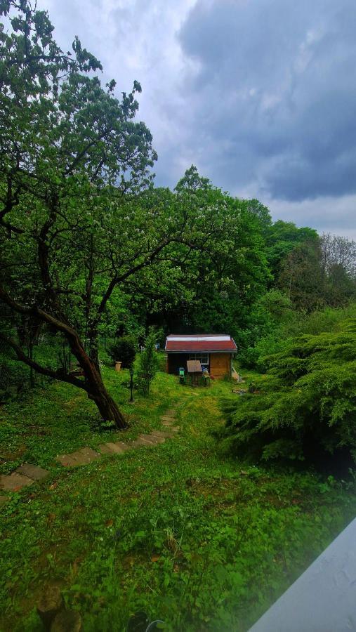 Albatross Villa Dömös Dış mekan fotoğraf